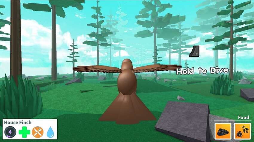 Creation Engine For Roblox What Is It Called