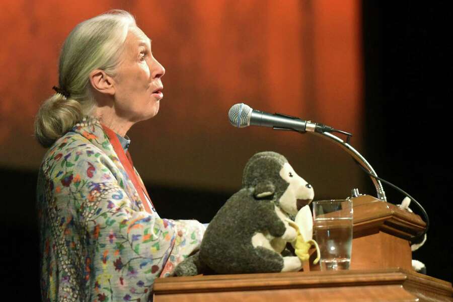 Jane Goodall’s message at Trinity: Act locally - ExpressNews.com