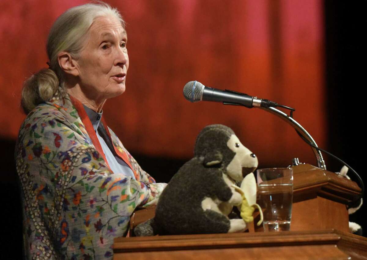 Jane GoodallPrimate expert, United Nations Messenger of Peace