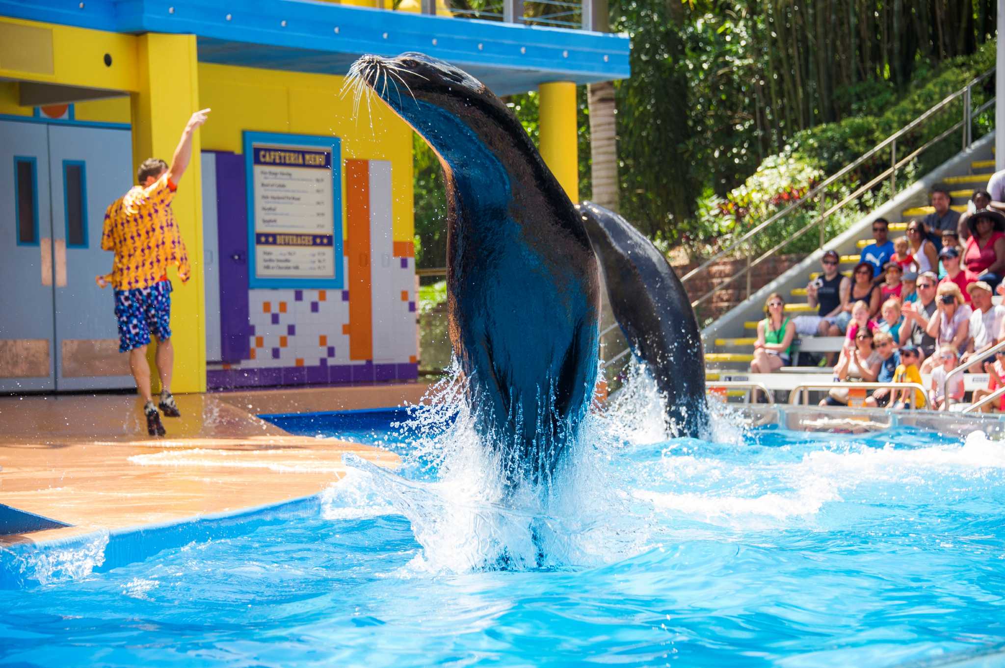 SeaWorld Shakes Up Management Ousts San Antonio President SeaWorld Shakes Up Management Ousts San Antonio President
