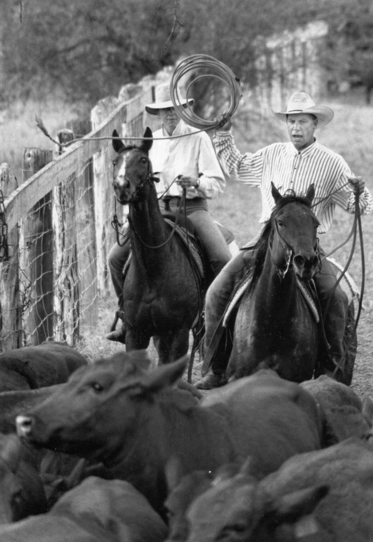 Historic King Ranch Texas Ownership Legacy And Impact