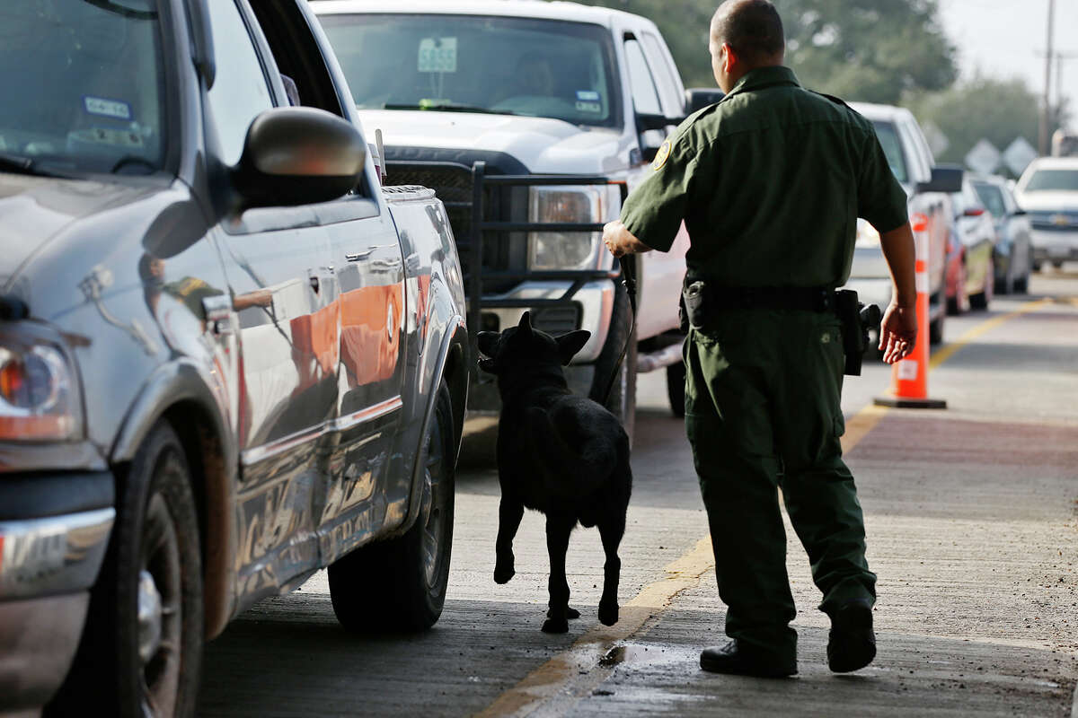 A U.S. Border Patrol agent runs a dog down the lanes of traffic at the checkpoint near Falfurrias on Tuesday. US Border Patrol Search, Trauma and Resue (BORSTAR) team has seen rescues of immigrants in the Rio Grande Valley sector of Border Patrol surge in FY 2015 compared to a year before..