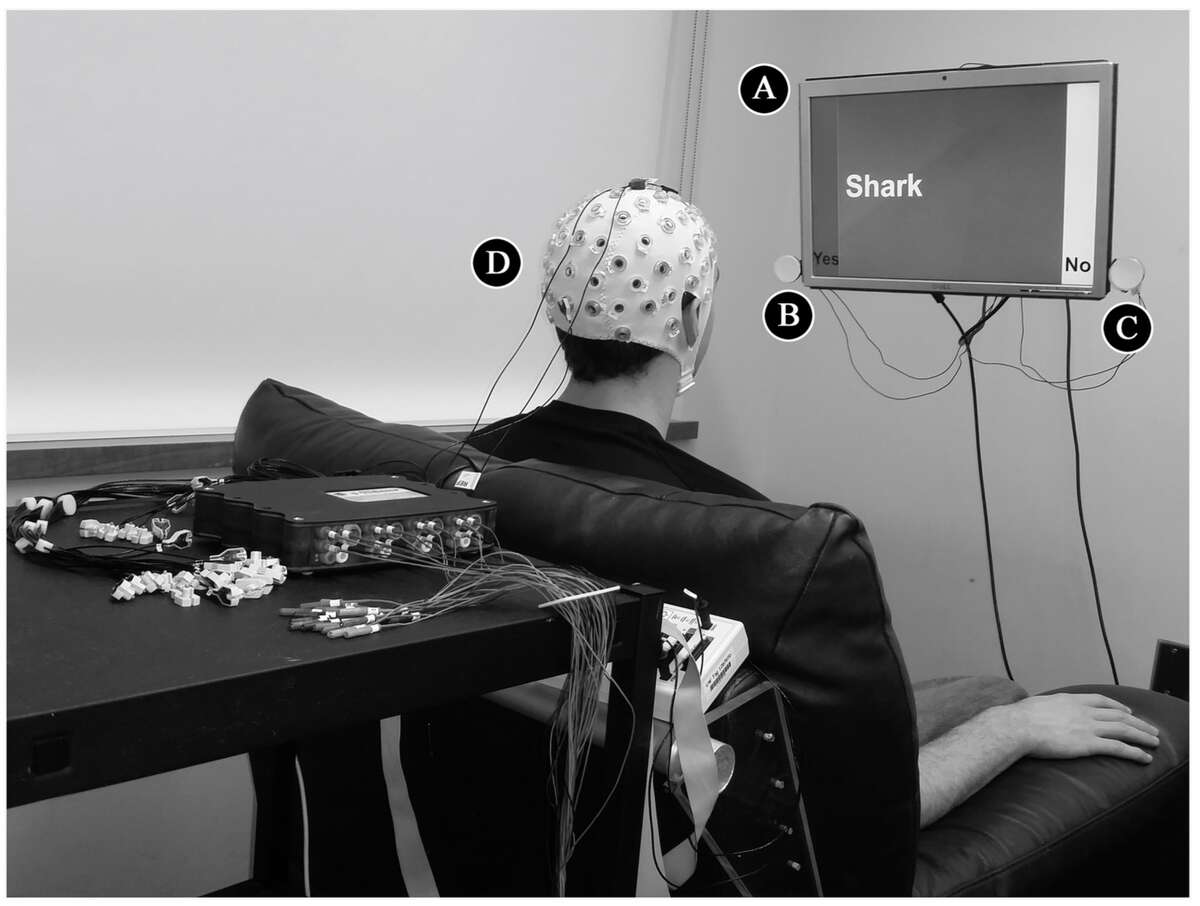 PLOS ONE caption: EEG Components of the BBI for the Respondent. During the experiment, the respondent sat in front of a computer screen (A) on a comfortable chair, while EEG signals were recorded from the scalp using an active electrode cap (D). SSVEPs in the EEG signal from the occipital lobe were driven by the frequencies of two flashing LEDs, positioned on the left (“Yes” answer, 13 Hz: B) and the right (“No” answer, 12 Hz: C) side of the screen. (Image from BBI research report in PLOS ONE)
