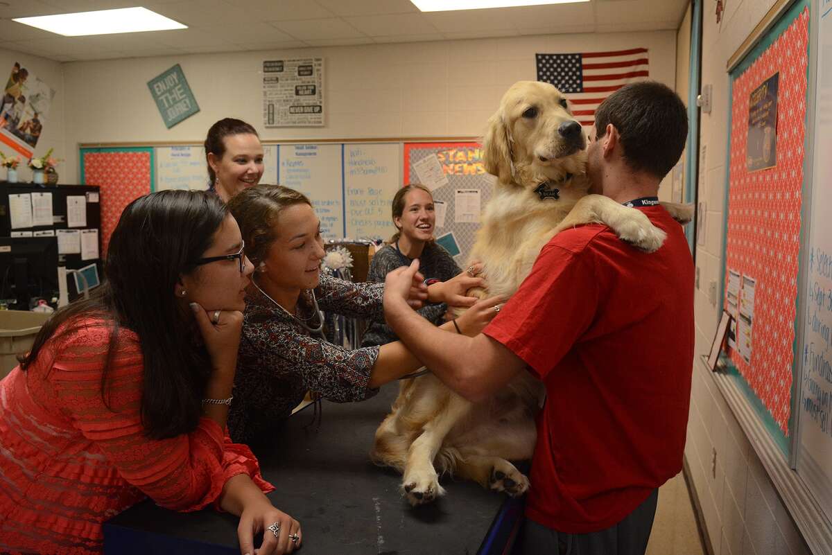 Kingwood vet assistant class lets students study pet health