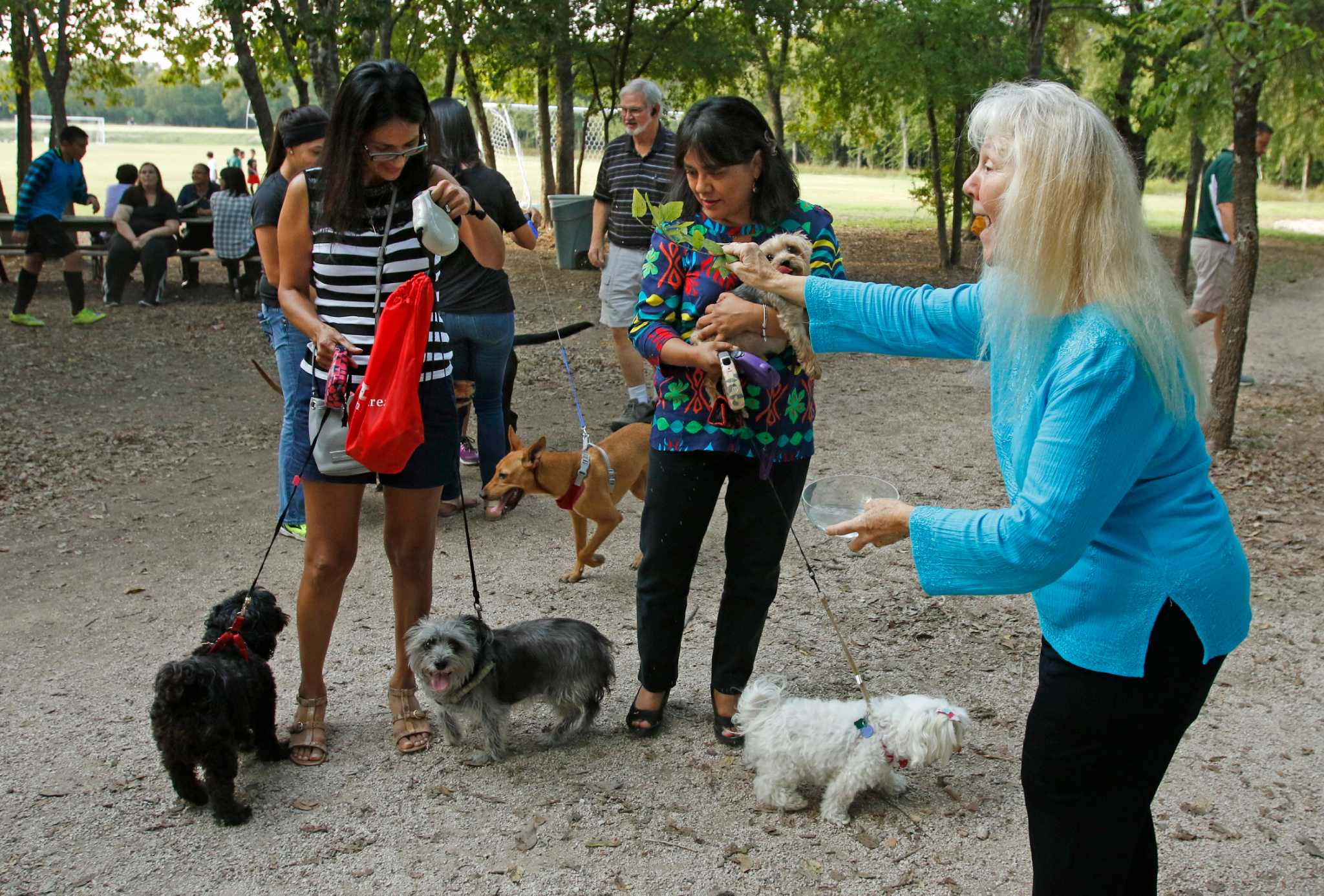 Bark In The Park - San Antonio, Sunken Gardens Theater, San