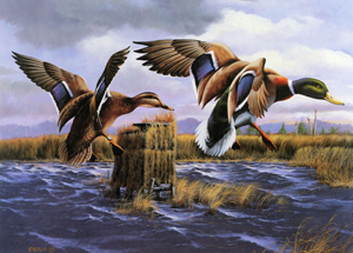 CT duck stamps Iconic waterfowl art, saves wetlands