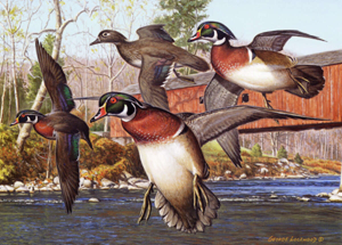 CT duck stamps Iconic waterfowl art, saves wetlands