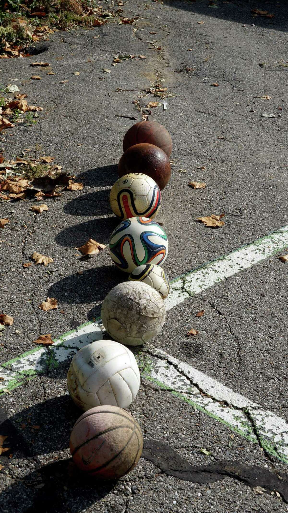 A number of balls were recovered from the Still River Trail during the cleanup.