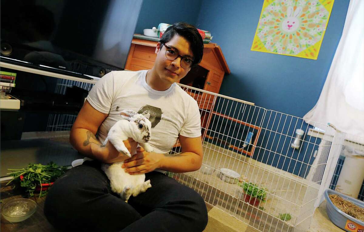 Joe Guerra has set up three living areas for his three pet rabbits in his bedroom.