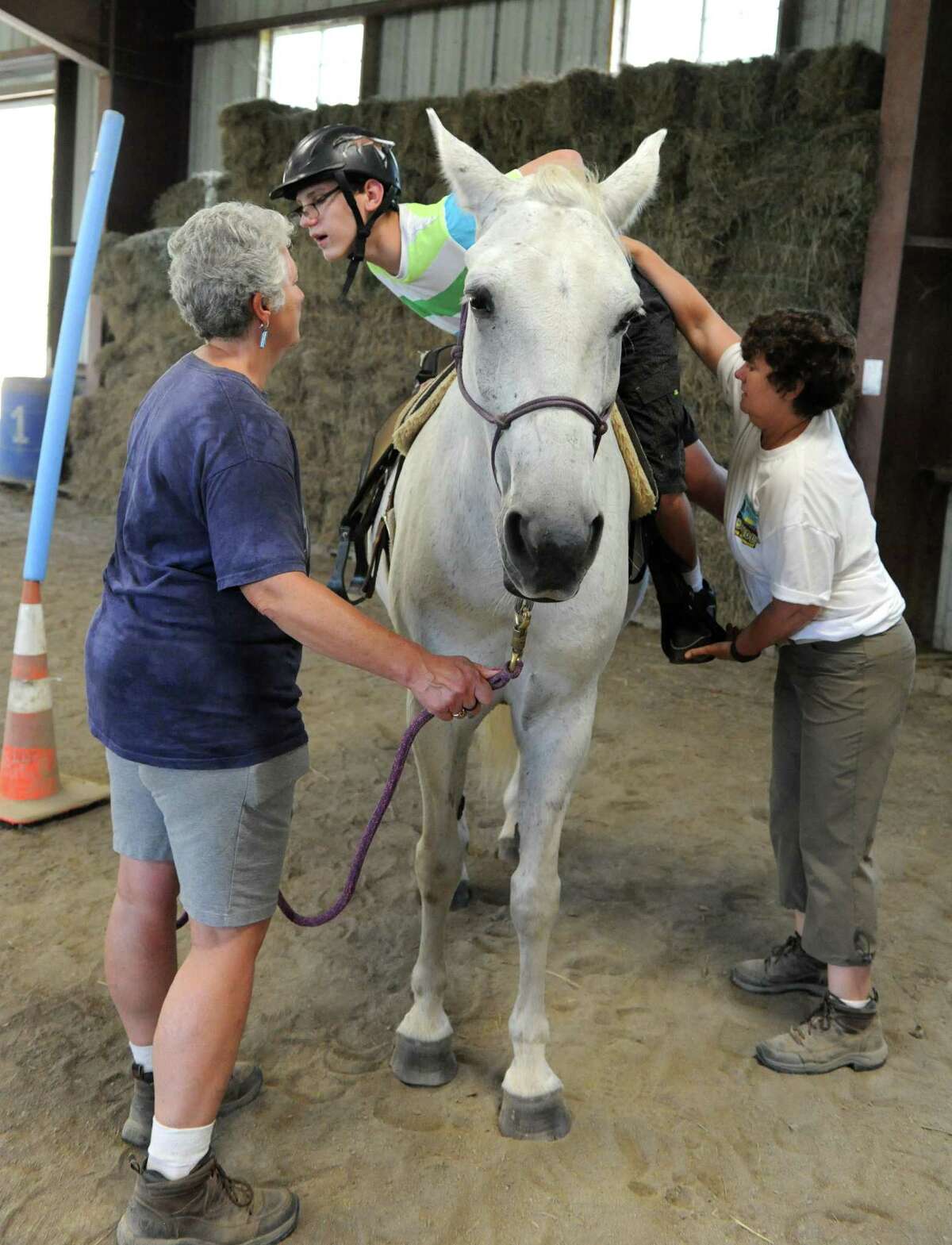 Horse therapists' costly labor of love