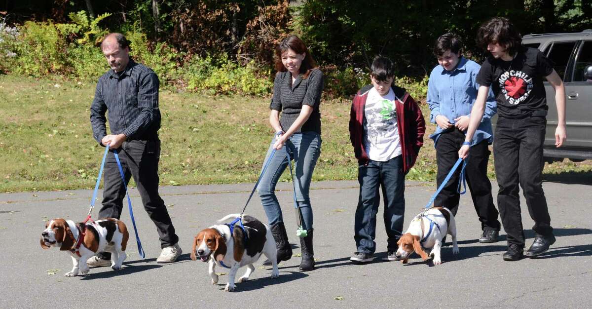 From left, Peter Hornig from Danbury and his family, Joanne, Jacob, Nahaniel and Peter bring the families bassett hounds to the Danbury United methodist Church on Sunday, October 4, 2015 for a blessing of the animals.