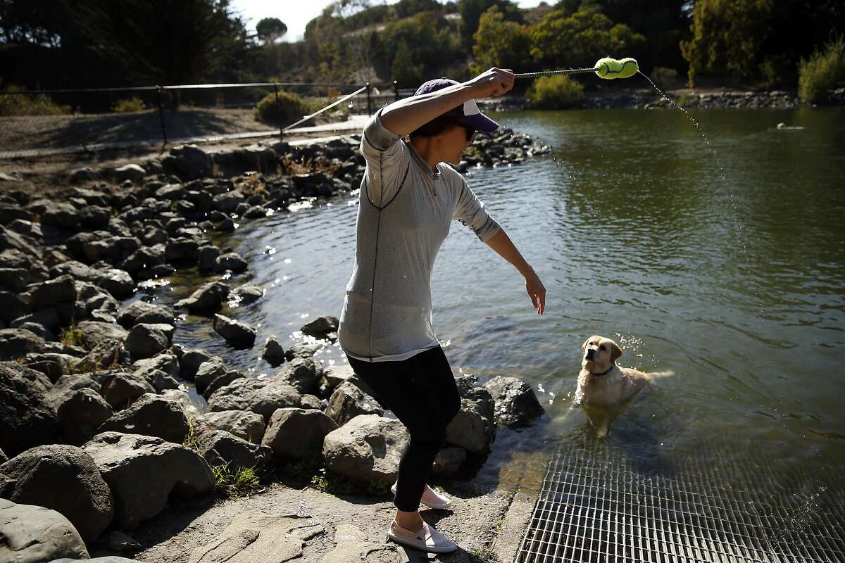 Kieran Collins throws a fetch stick as Reyli waits to retrieve it at McLaren Park in San Francisco, Calif., on Sunday, October 4, 2015.