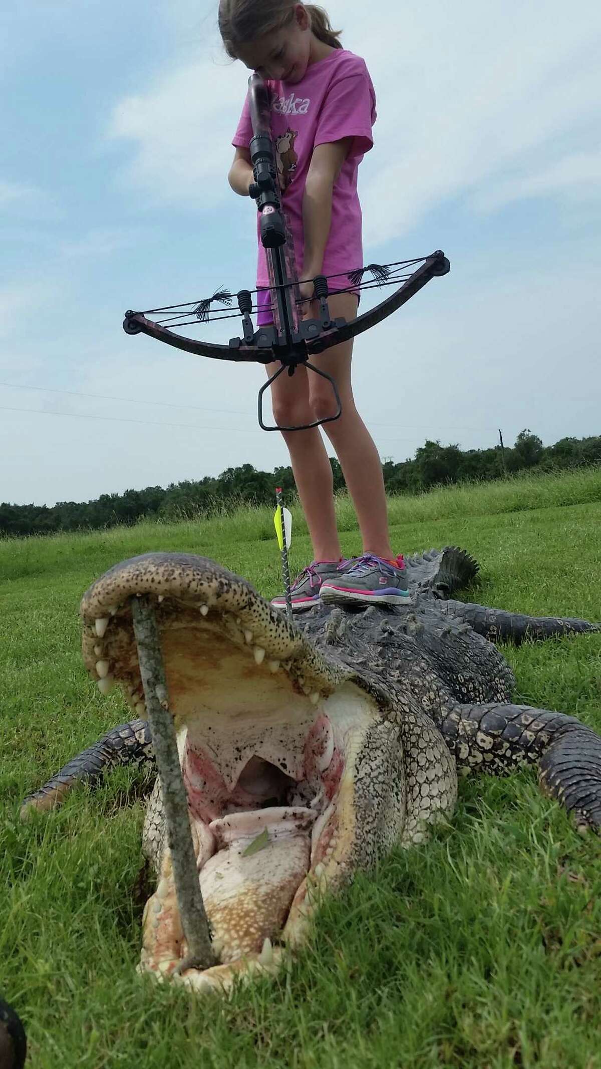 A 10-year-old Texas girl shot and killed an 800-pound alligator Sunday with crossbow from about 15 yards on the Guadalupe River in South Texas.