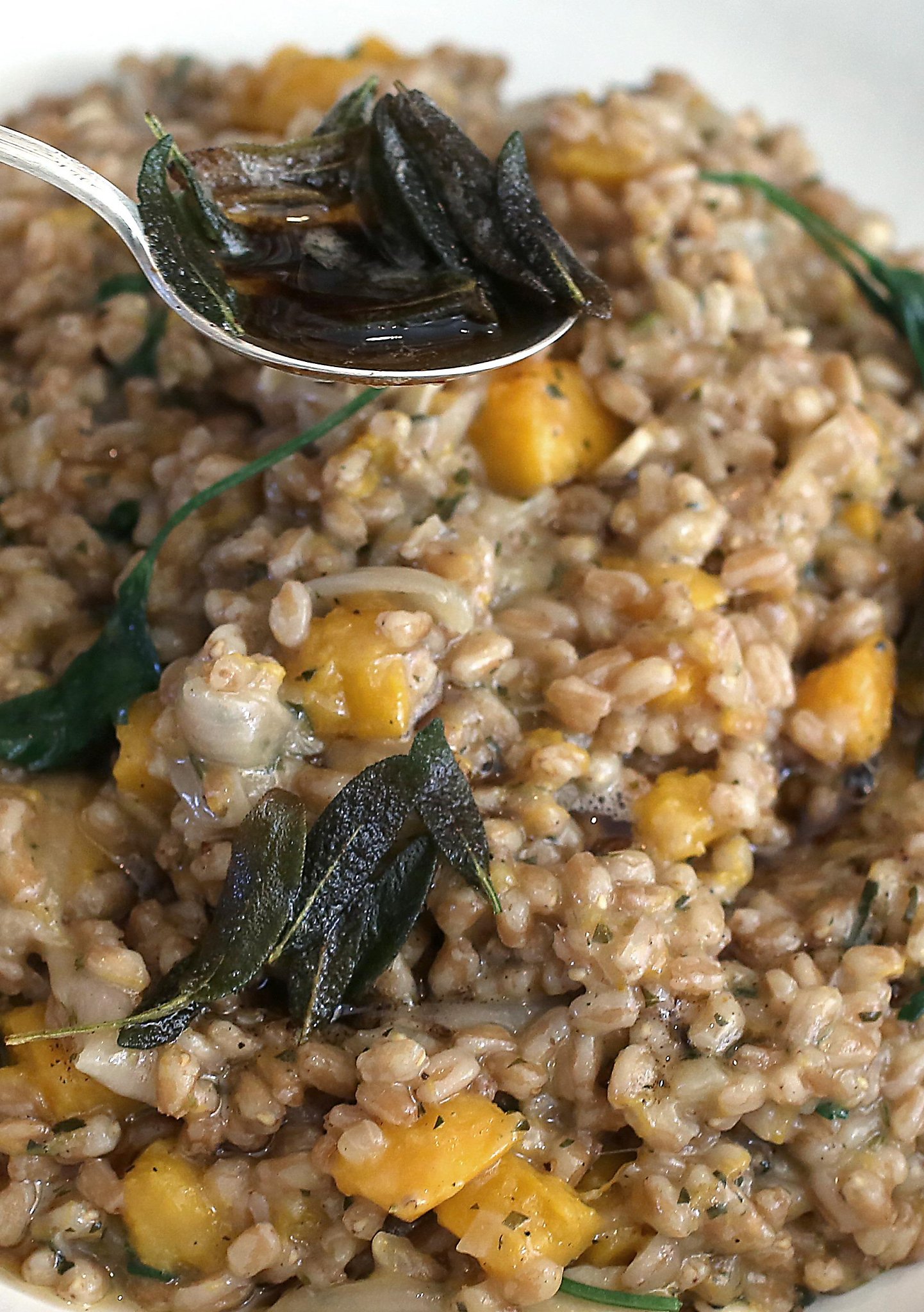 Recipe Sharon Ardiana’s Farrotto With Roasted Butternut Squash and