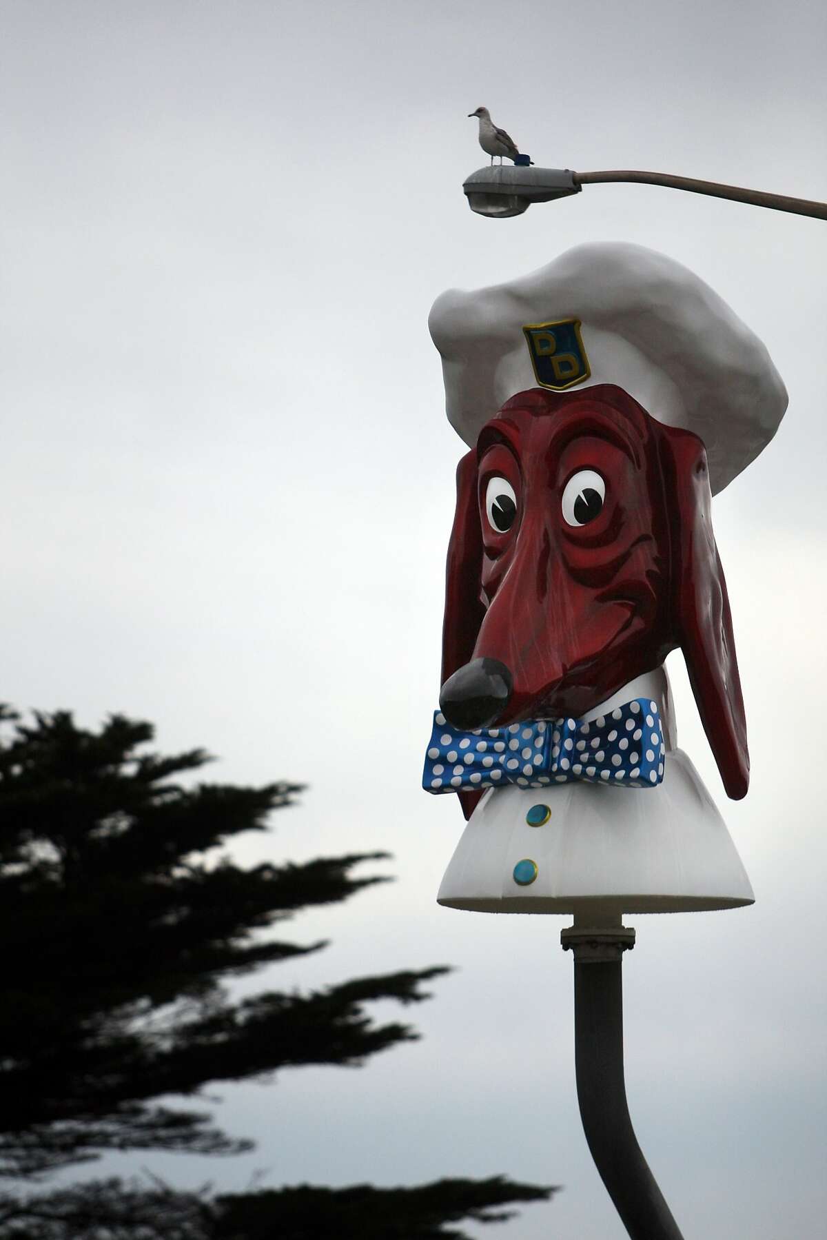 The Doggie Diner Head sits at the intersection of Sloat Blvd. and 45th Avenue, a few blocks from the ocean, in San Francisco, Calif. on Feb. 15 2014.