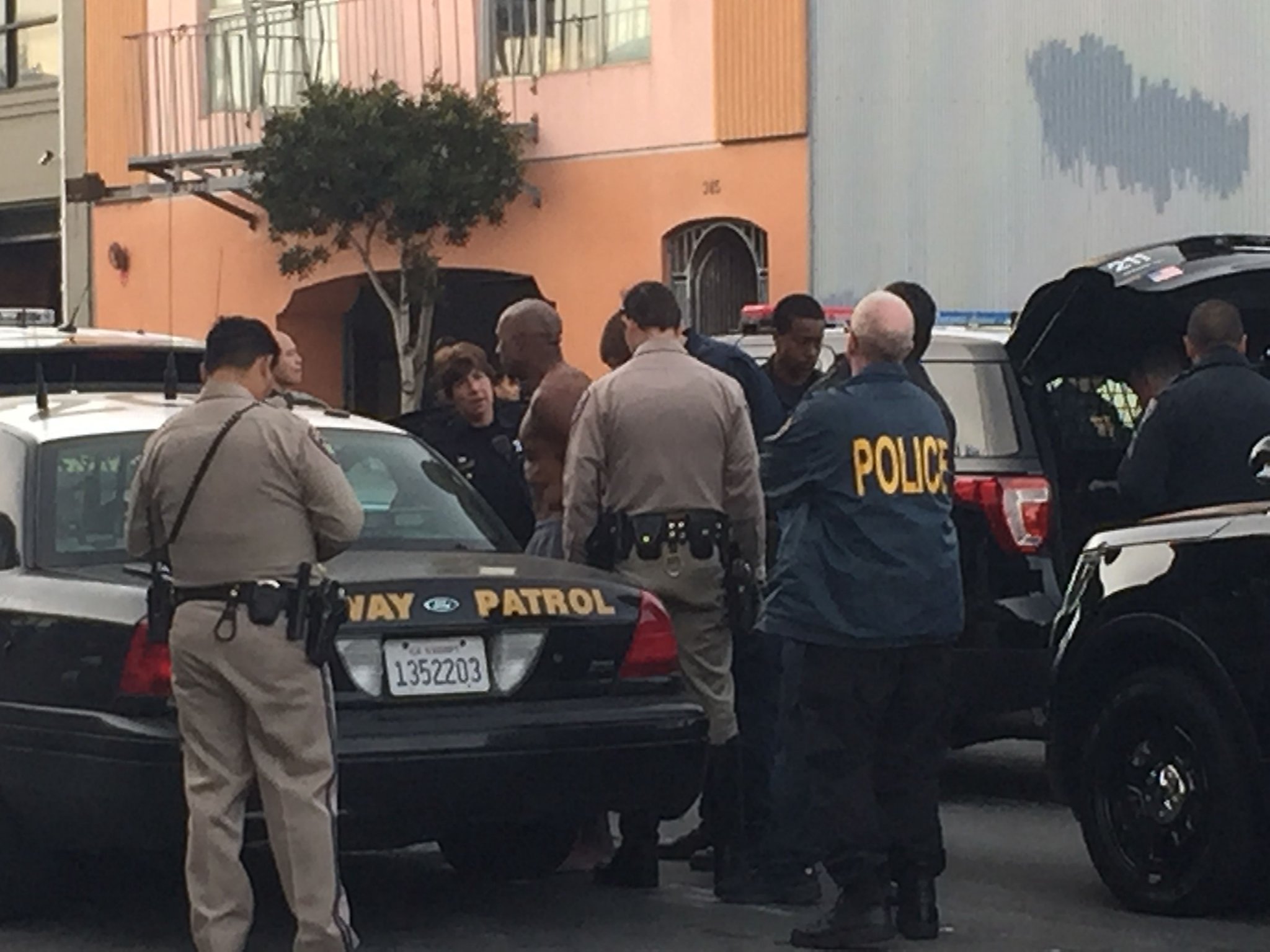 SF cops use cat to coax suicidal man off ledge