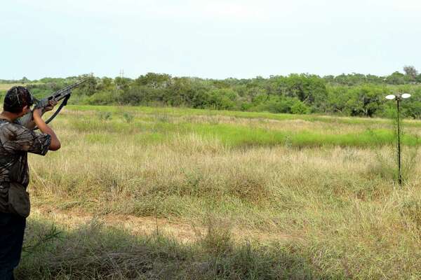 Group Promotes Family Dove Hunting Fun Expressnews Com