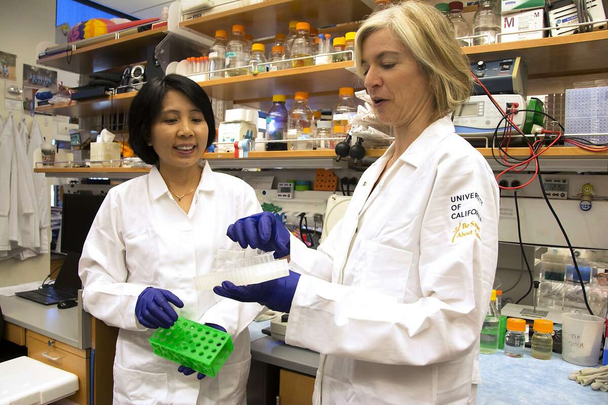 FOR RELEASE FRIDAY, OCT. 9, 2015, AT 3:00 A.M. EDT - In this photo provided by UC Berkeley Public Affairs, taken June 20, 2014 Jennifer Doudna, right, and her lab manager, Kai Hong, work in her laboratory in Berkeley, Calif. The hottest tool in biology has scientists using words like revolutionary as they describe the long-term potential: wiping out certain mosquitoes that carry malaria, treating genetic diseases like sickle-cell, preventing babies from inheriting a life-threatening disorder. "We need to try to get the balance right," said Doudna. She helped develop new gene-editing technology and hears from desperate families, but urges caution in how it's eventually used in people. (Cailey Cotner/UC Berkeley via AP)