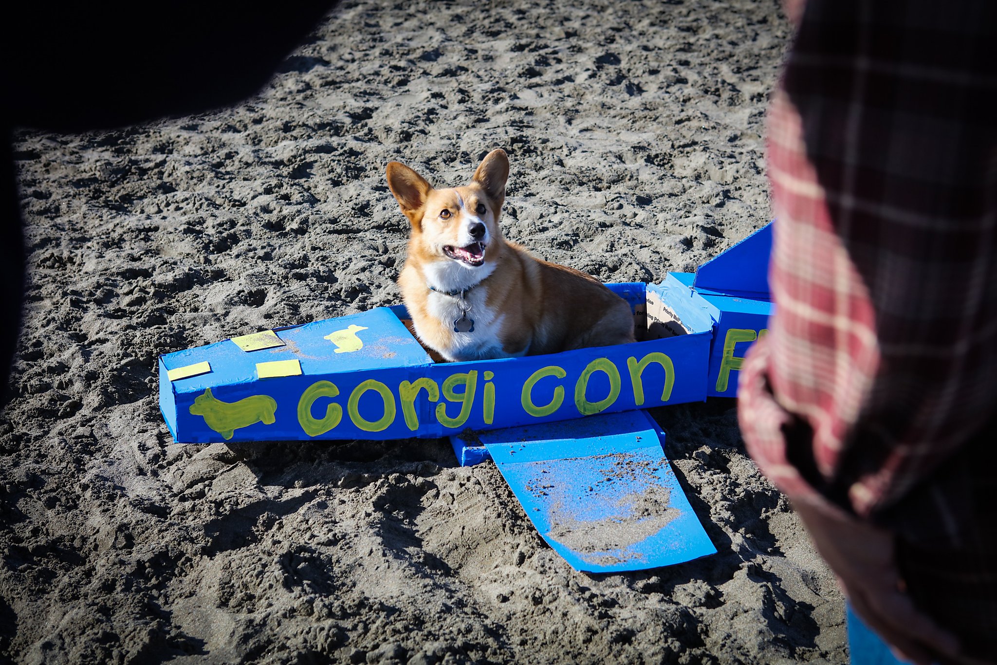 corgi airplane