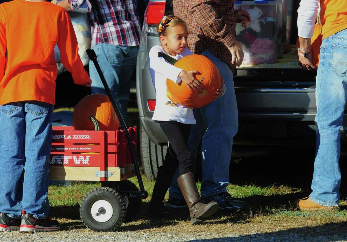 Isabella Ramos, 7, of Shelton, carries a pumpkin from her wagon to the car after spending the afternoon with her family at Jones Family Farms' Pumpkinseed Hill Farm off of Beardsley Road in Shelton, Conn. on Saturday October 10, 2015. The farm will be open daily from 10 a.m. to 5:30 p.m. through October 31st.