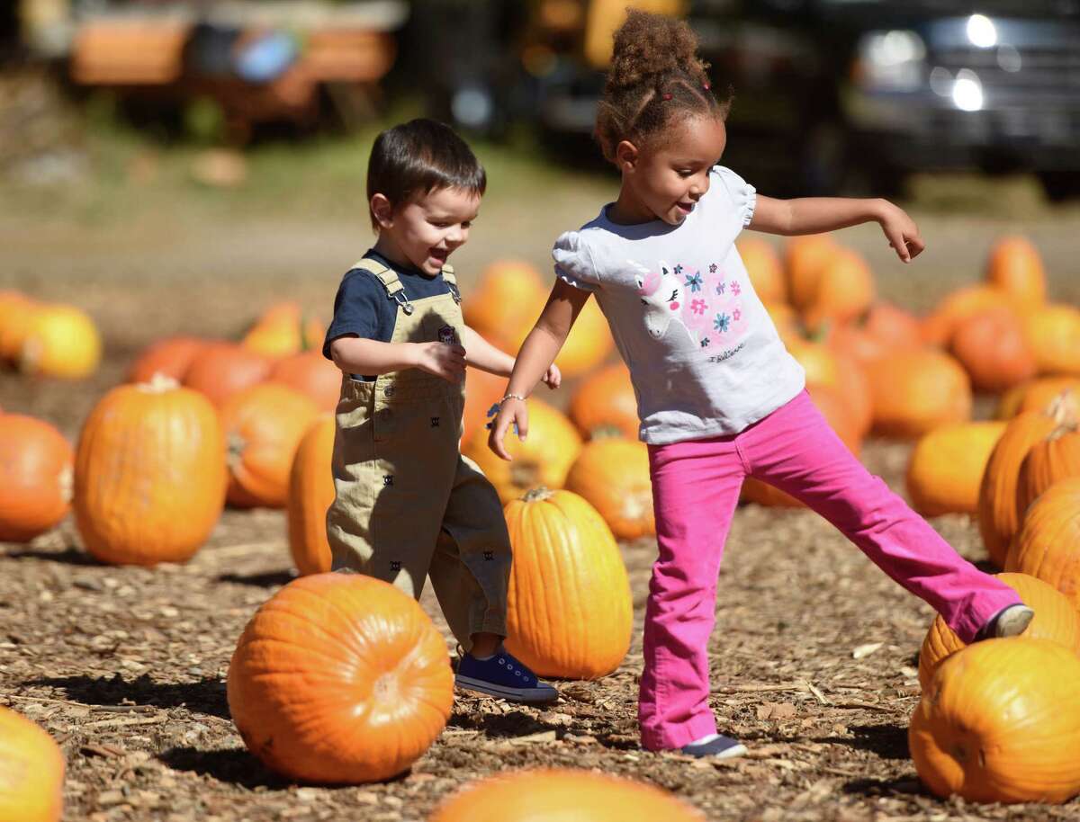 Fall fun at Stamford’s Eden Farms