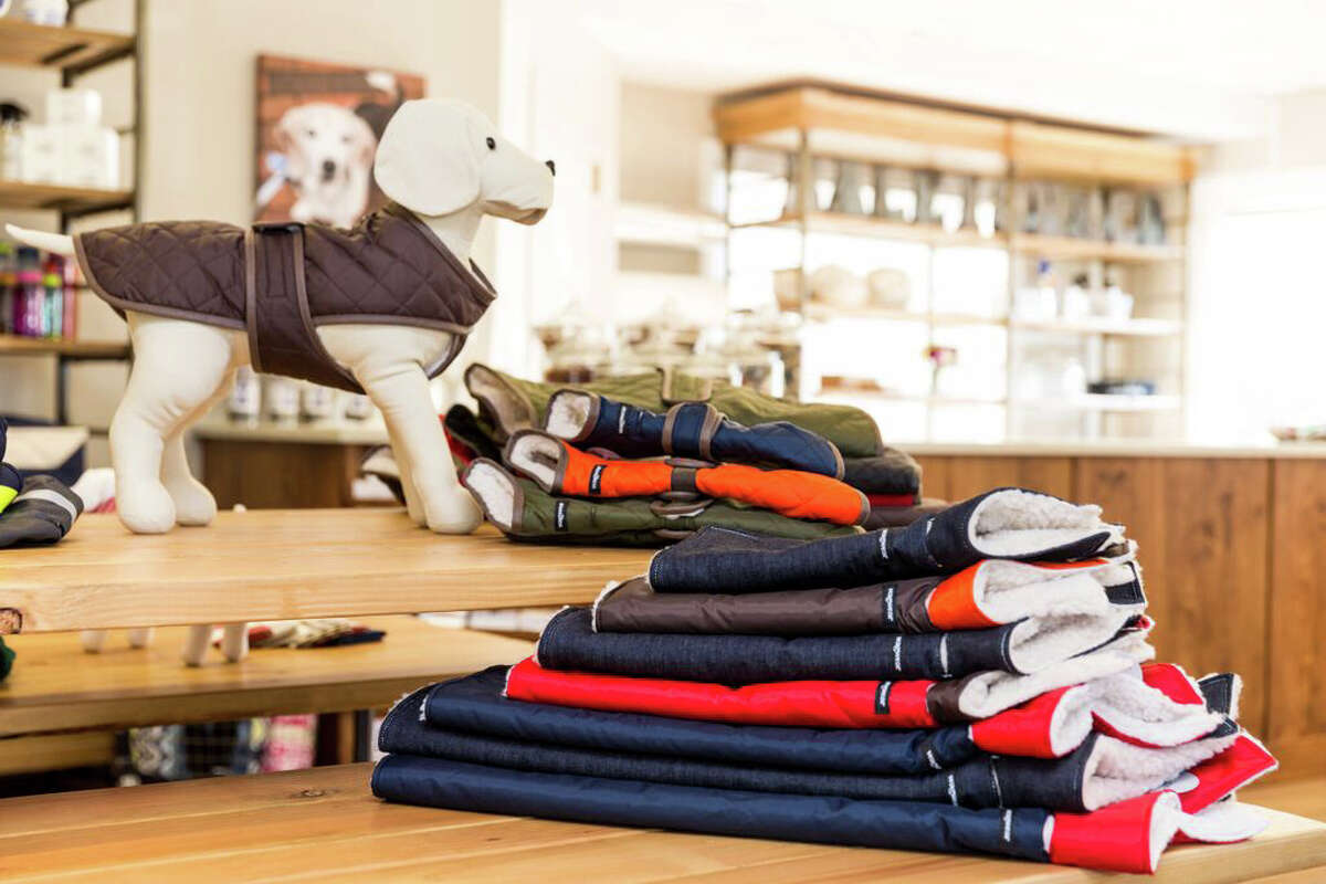 Greenwich new boutique pet supply store
