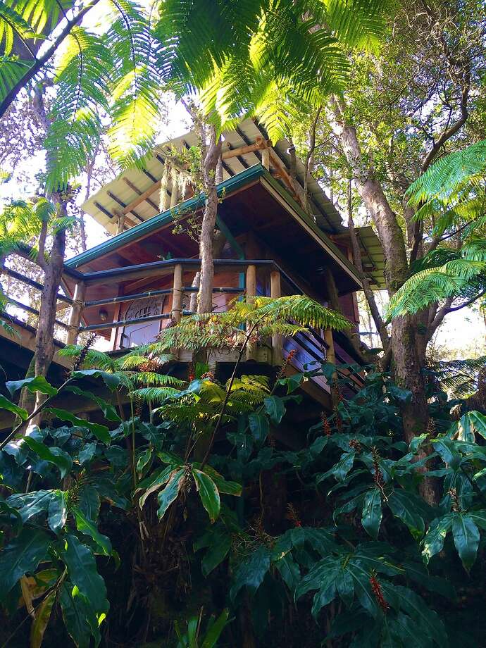 Big Island tree house more than a honeymoon hideaway SFGate
