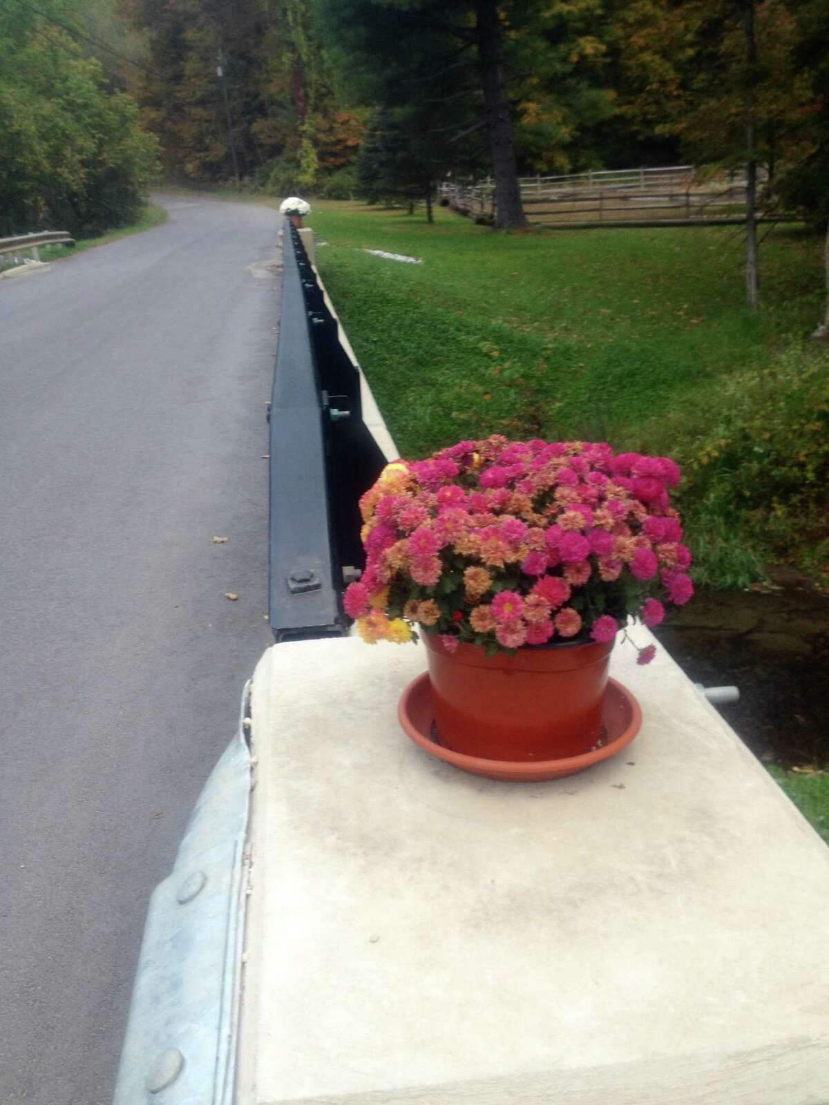 These flower pots have cheered drivers passing over the new bridge on Riverview Road in Gaylordsville. Placed there by an unknown benefactor, the pots have been replaced when taken and watered by Anna Menard.