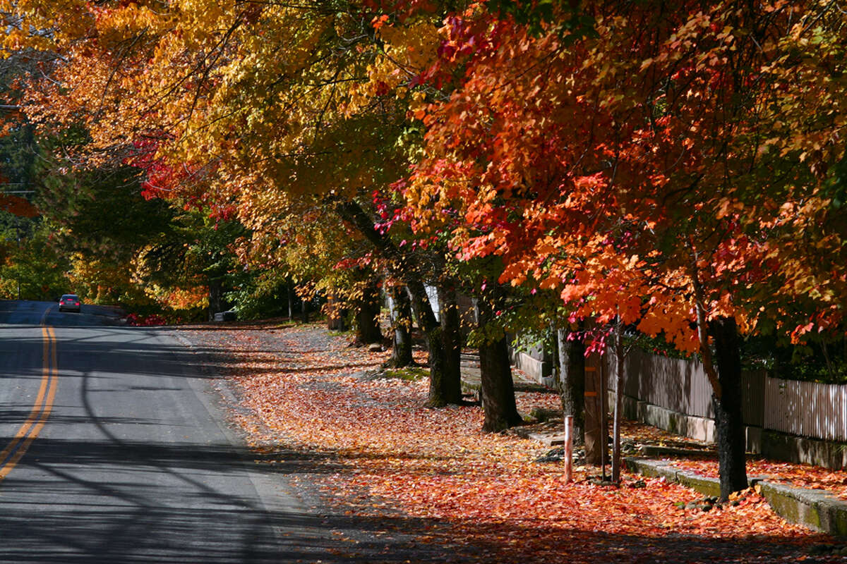 Nevada City in the Sierra foothills has beautiful fall foliage from a number of sugar maples and liquidambar trees throughout its easily walkable historic downtown area. Best times to view the colors are mid- to late October.