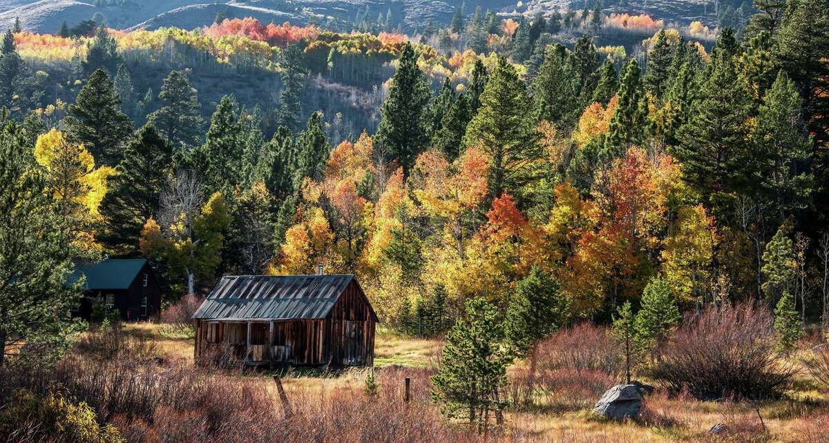 Best bets for fall foliage in the Bay Area and Northern California