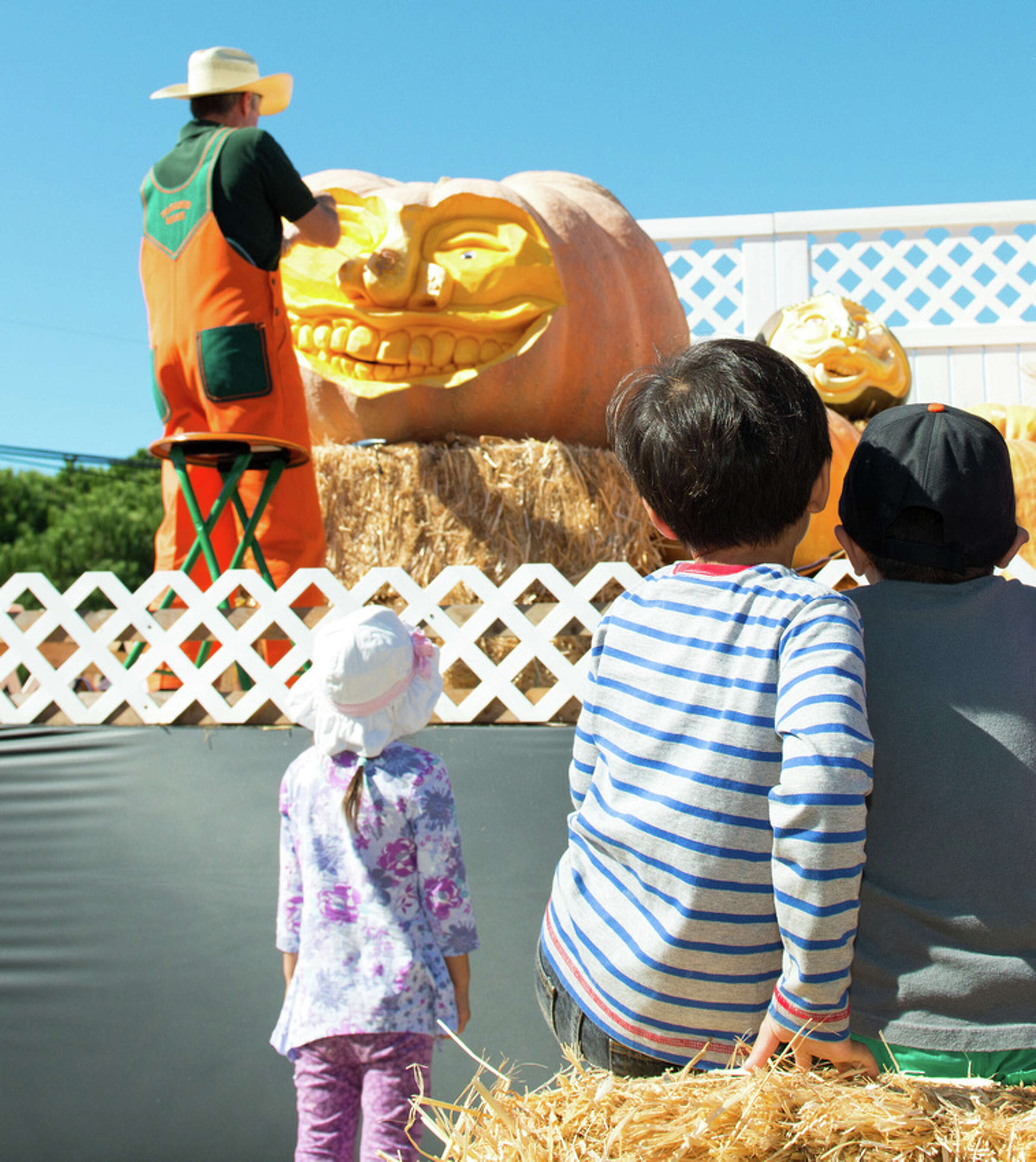 'Picasso of Pumpkin Carvers' to show off incredible gourds at HMB festival