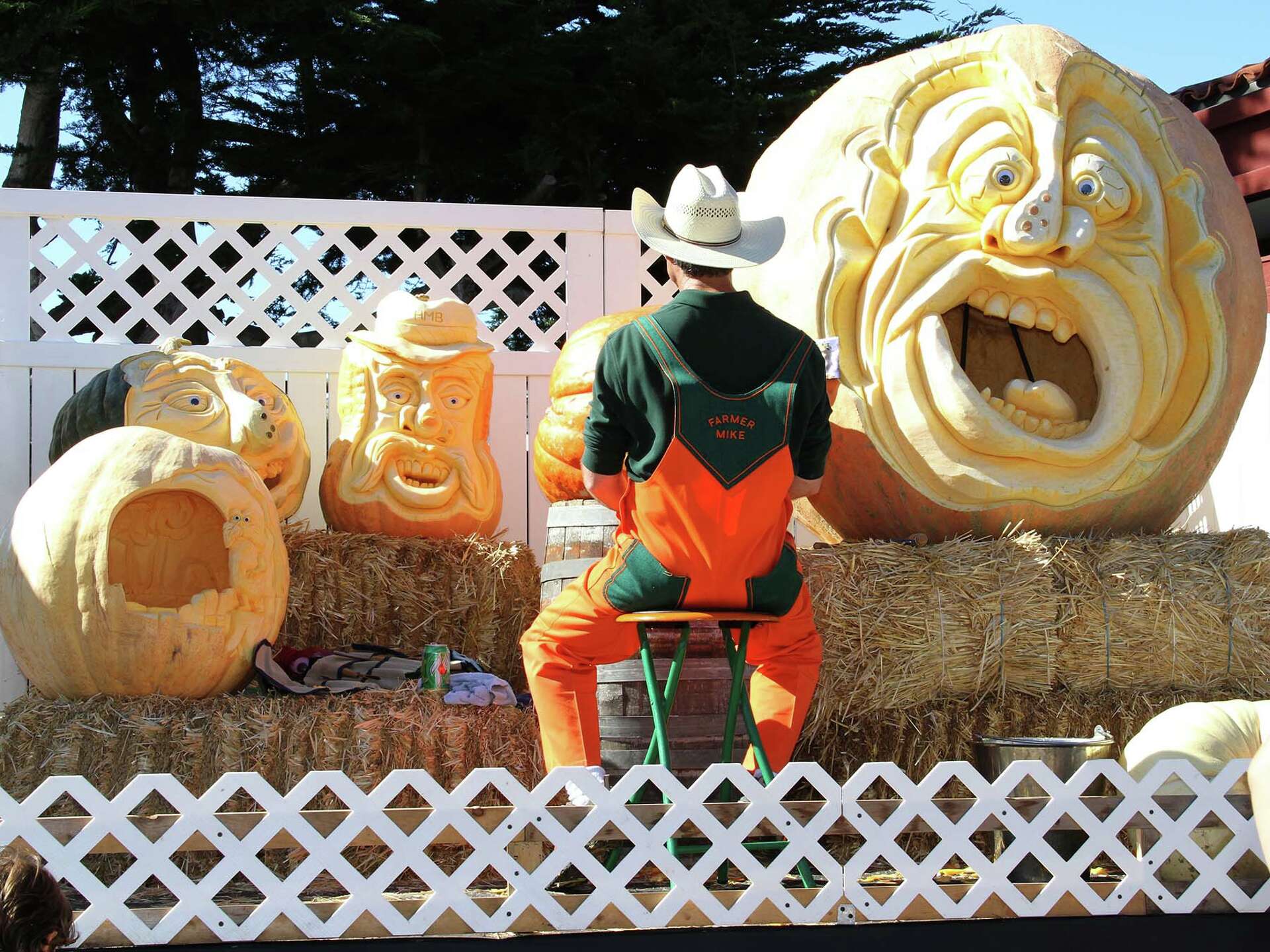 'Picasso of Pumpkin Carvers' to show off incredible gourds at HMB festival