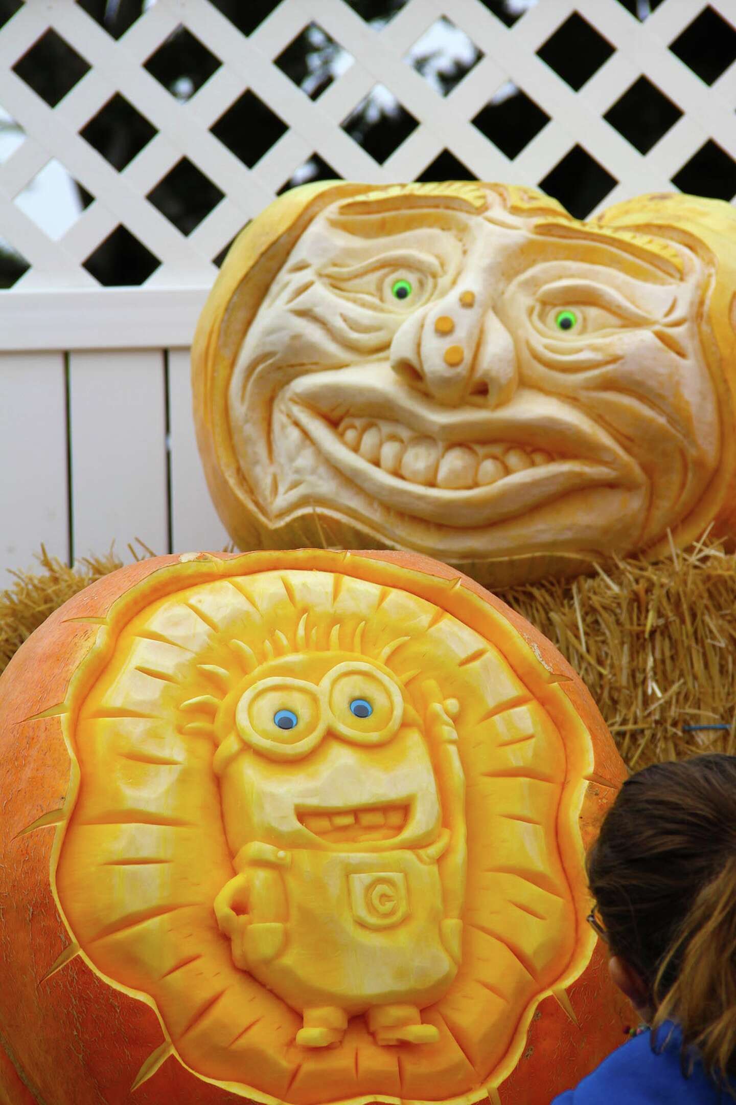 'Picasso of Pumpkin Carvers' to show off incredible gourds at HMB festival