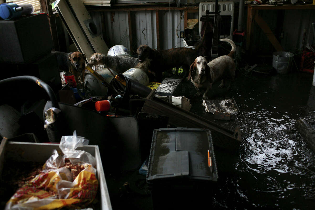 10 years later Remembering Hurricane Ike