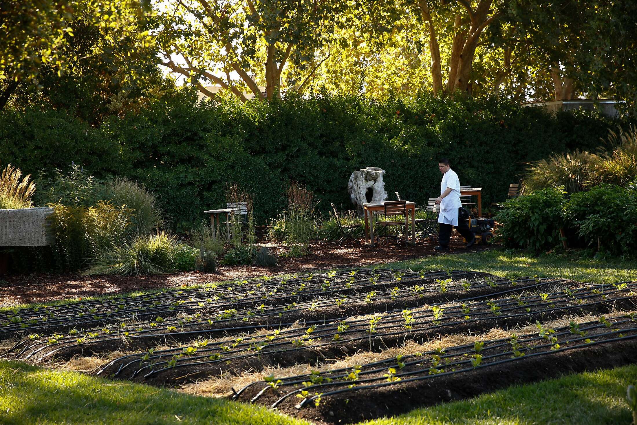 A day in Yountville for under 40