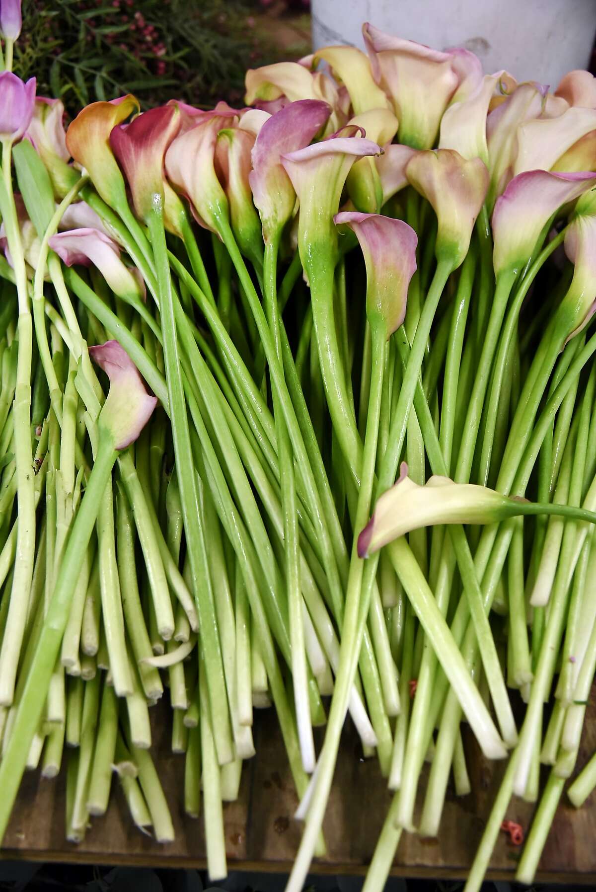 Business is blooming for woman behind Farmgirl Flowers