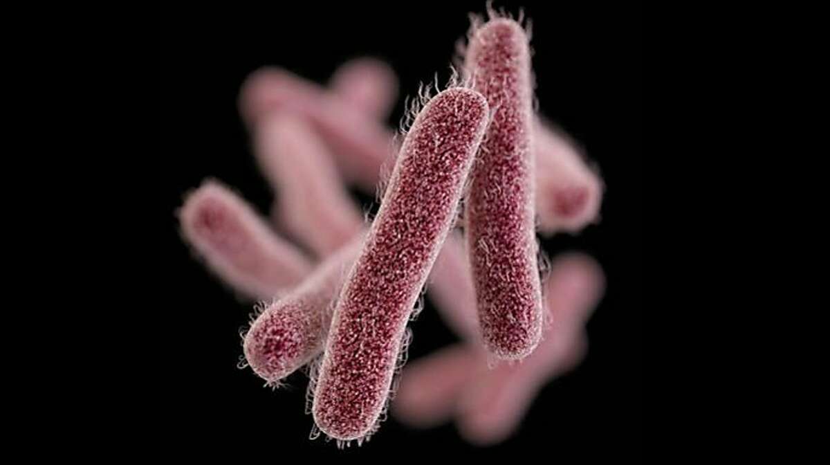 More than 80 people reported feeling sick after a shigella outbreak at a San Jose Mexican seafood restaurant.