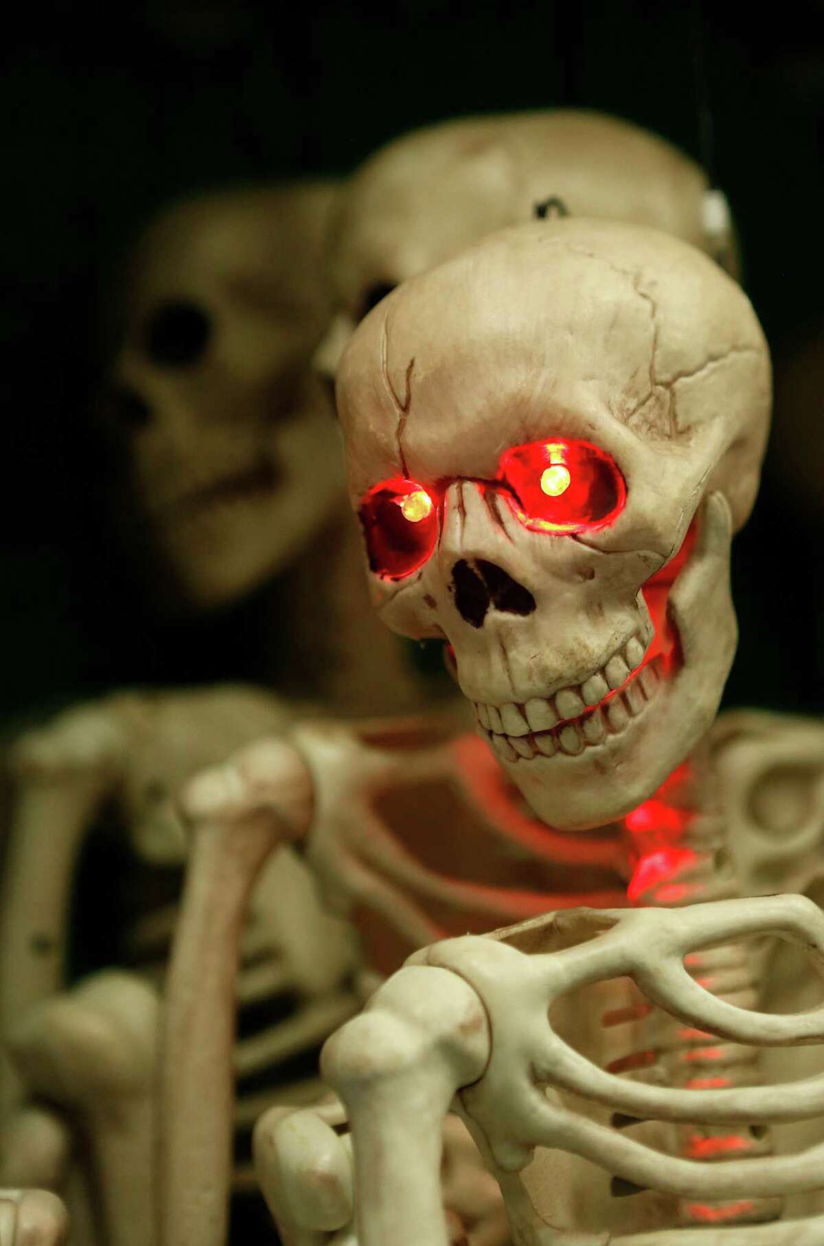 A skeleton's eyes light up at Party Boy, a costume and party supply store that contains everything from decorations to costume rentals to an onsite haunted house, Tuesday, Oct. 20, 2015, in Houston. ( Mark Mulligan / Houston Chronicle )