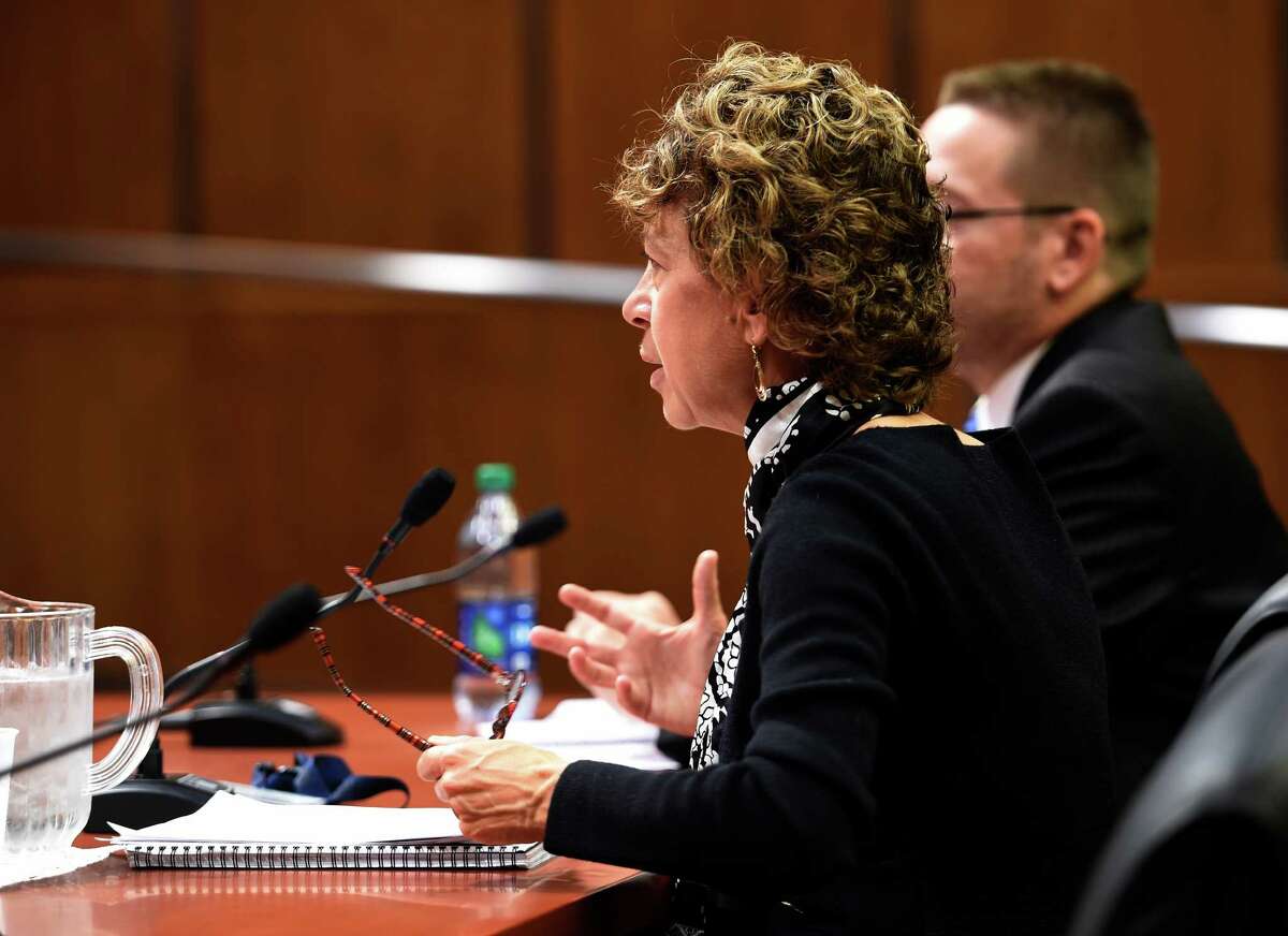 Mary Beth Labate, budget director, NYS Division of Budget testifies during a hearing by the Assembly Standing Committee on Local Governments and the Assembly Standing Committiee on Cities at the Legislative Thursday morning Oct. 22, 2015 in Albany, N.Y. (Skip Dickstein/Times Union)