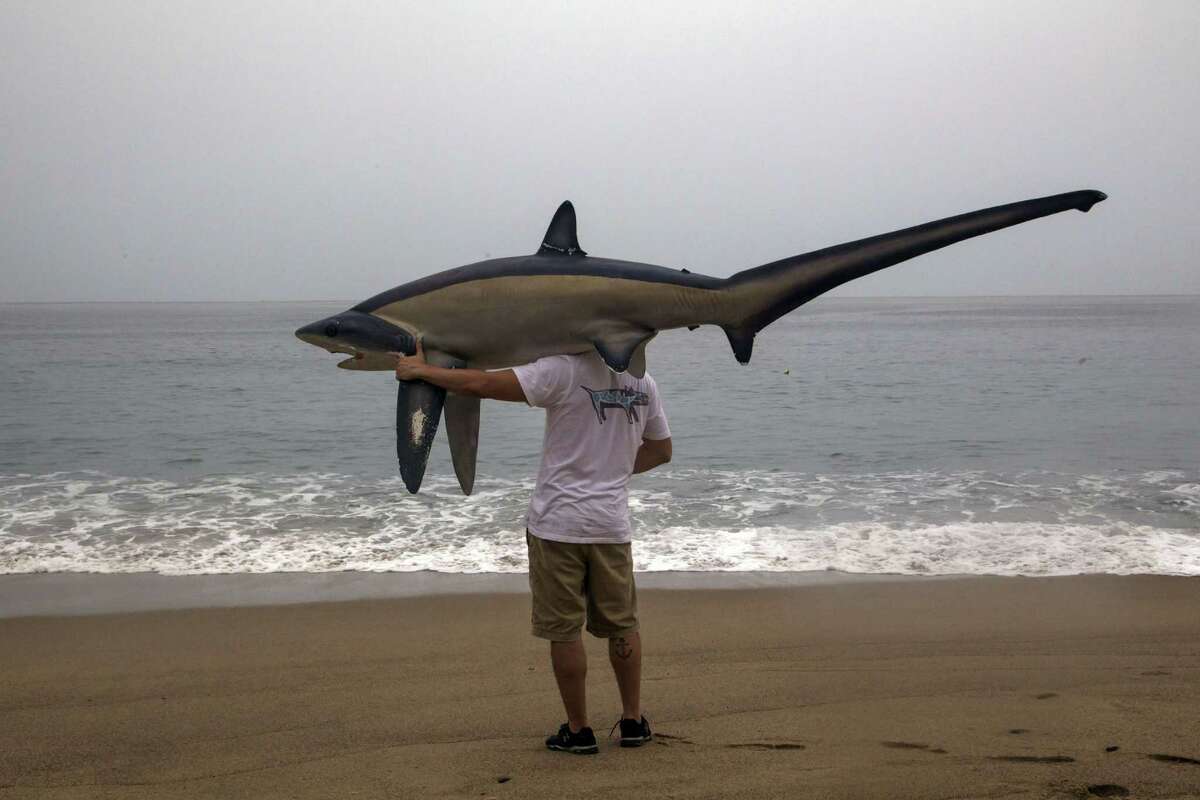 A man walks with a figure of a shark before the arrival of hurricane Patricia in Puerto Vallarta, Mexico on October 23 ,2015. Monster Hurricane Patricia roared toward Mexico's Pacific coast on Friday, prompting authorities to evacuate villagers, close ports and urge tourists to cancel trips over fears of a catastrophe. The US National Hurricane Center called Patricia the strongest eastern north Pacific hurricane on record. It said the storm will make a potentially catastrophic landfall later Friday in southwestern Mexico. AFP PHOTO/HECTOR GUERREROHECTOR GUERRERO/AFP/Getty Images