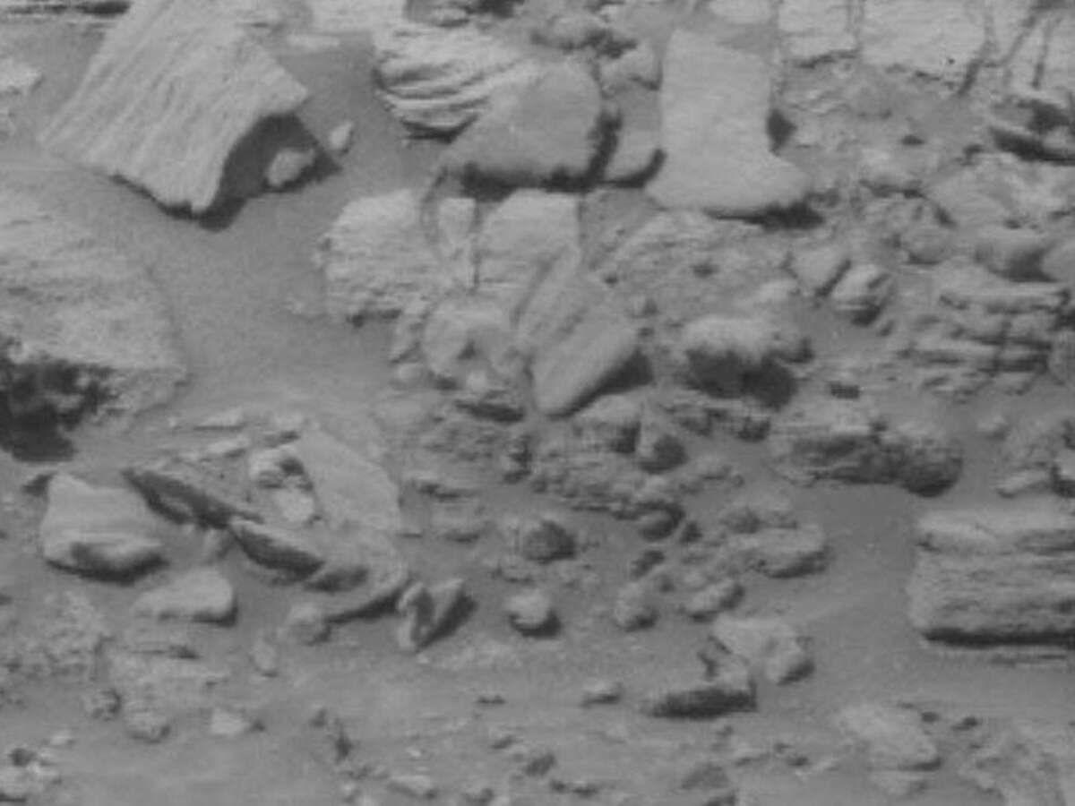 A bear on the surface of Mars? An object in the shape of a bear cub can be seen in a recent photo from Mars taken by a NASA rover. Can you see it?