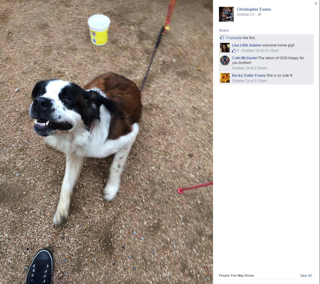 Texas woman arrested for allegedly stealing dog after claiming she ...