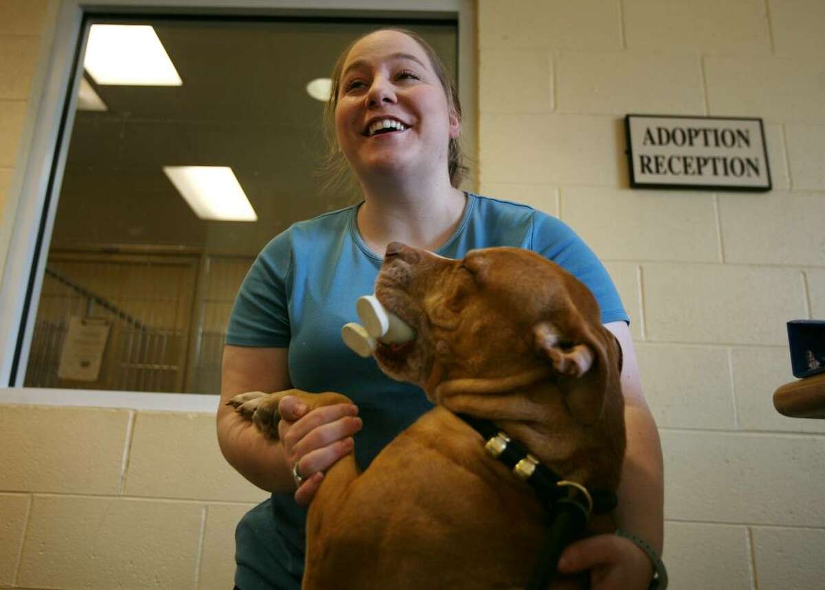 District manager Allyson Smith with Tyson, a playful pitbull, at the CT Humane Society in Westport on Thursday, March 4, 2010.