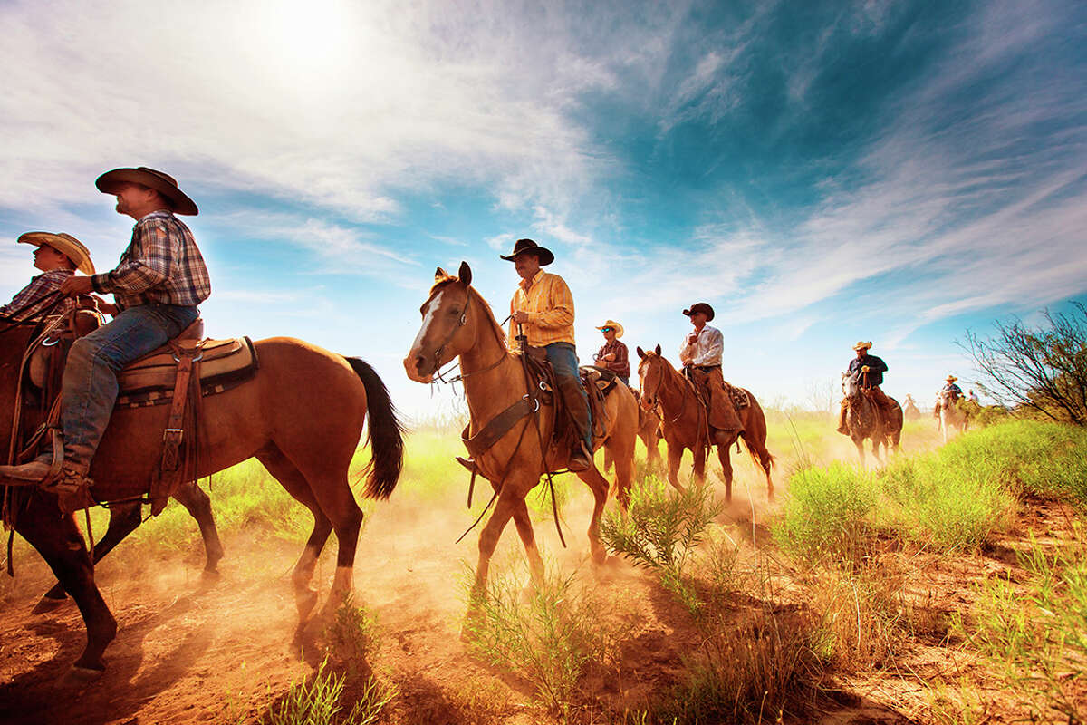 Cowboys ride out into a pasture to round up cattle on Waggoner Ranch.