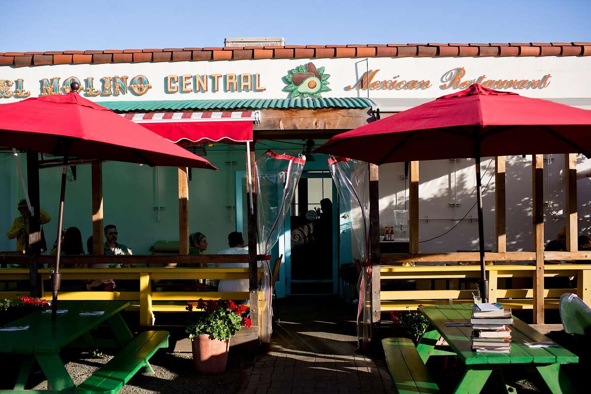 Going back to the land