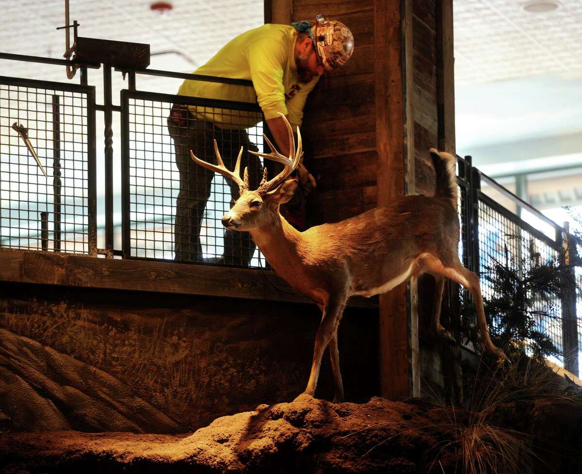 Are Animals Allowed In Bass Pro Shops at terricmillero blog