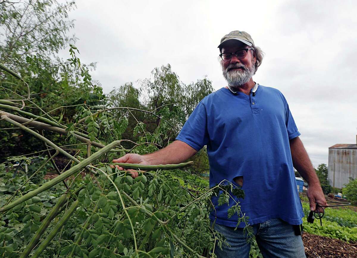 Last Organic Outpost founder Joe Icet holds a seed pod of a moringa tree.