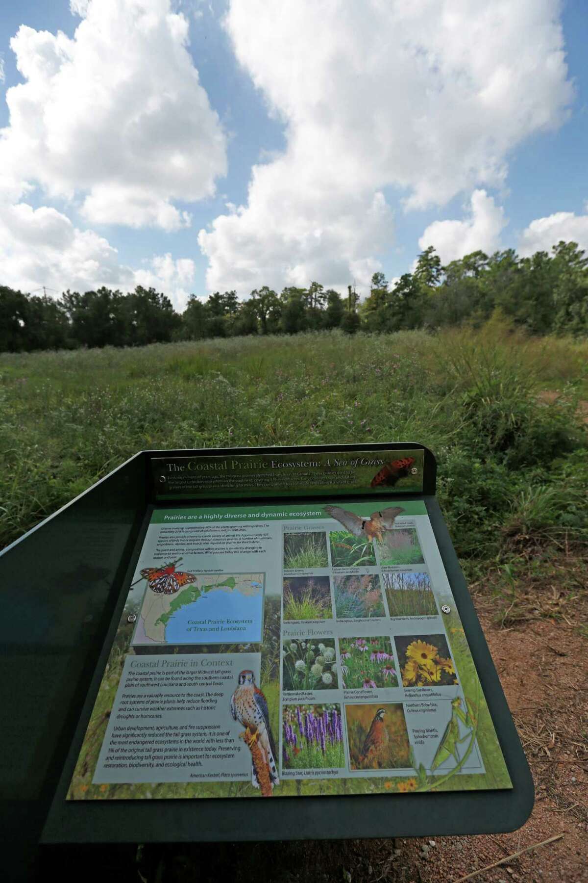 Signs help guide visitors along the trails of The Houston Arboretum & Nature Center trails in Houston (Steve Gonzales / Houston Chronicle )