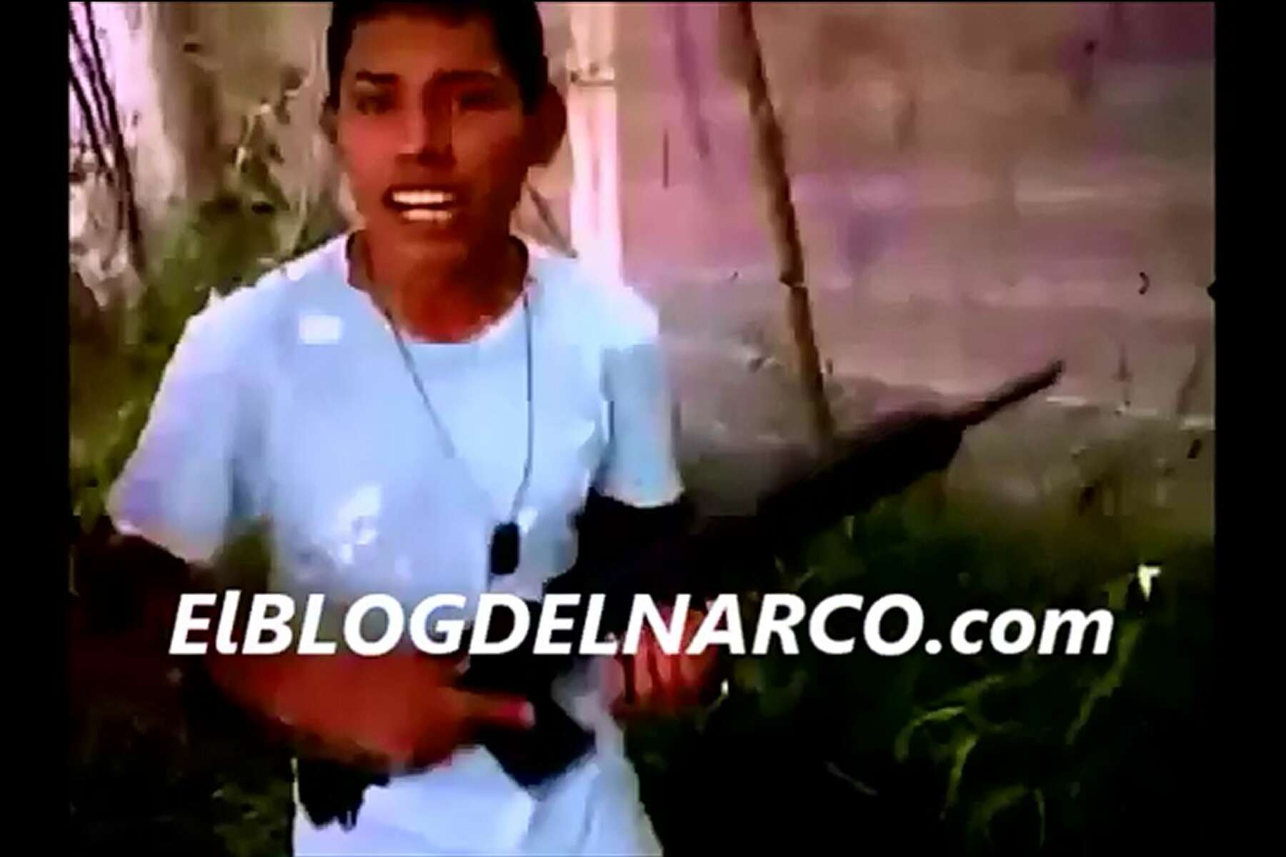videos de blog del narco videos de blog del narco