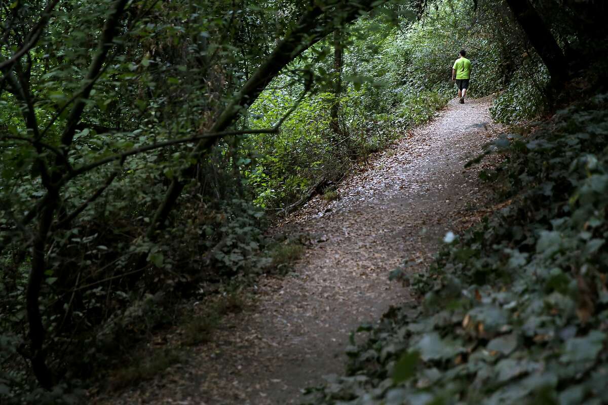 Stan Dodson walks on a trail in Dimond Canyon Park in Oakland, California, on Sunday, Nov. 1, 2015.